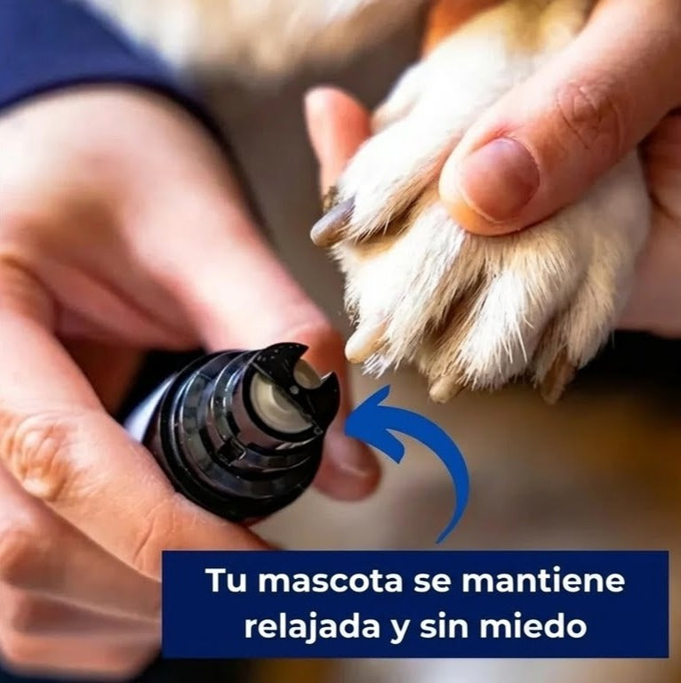 Grooming Silencioso Pro