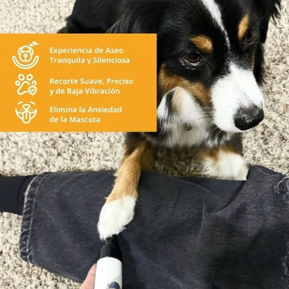 Grooming Silencioso Pro
